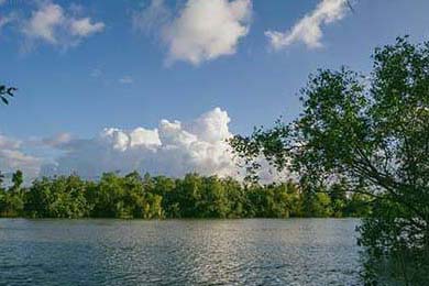 爱尔兰政府加大对女子橄榄球投资力度，橄榄球爱尔兰和北爱尔兰